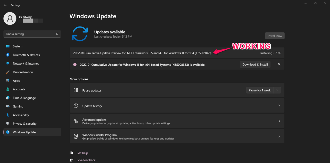 How to Fix Windows 11 Update Error 0x80248014? 36 2 - Click on Download & Install