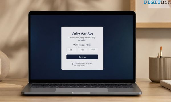 age verification internet privacy