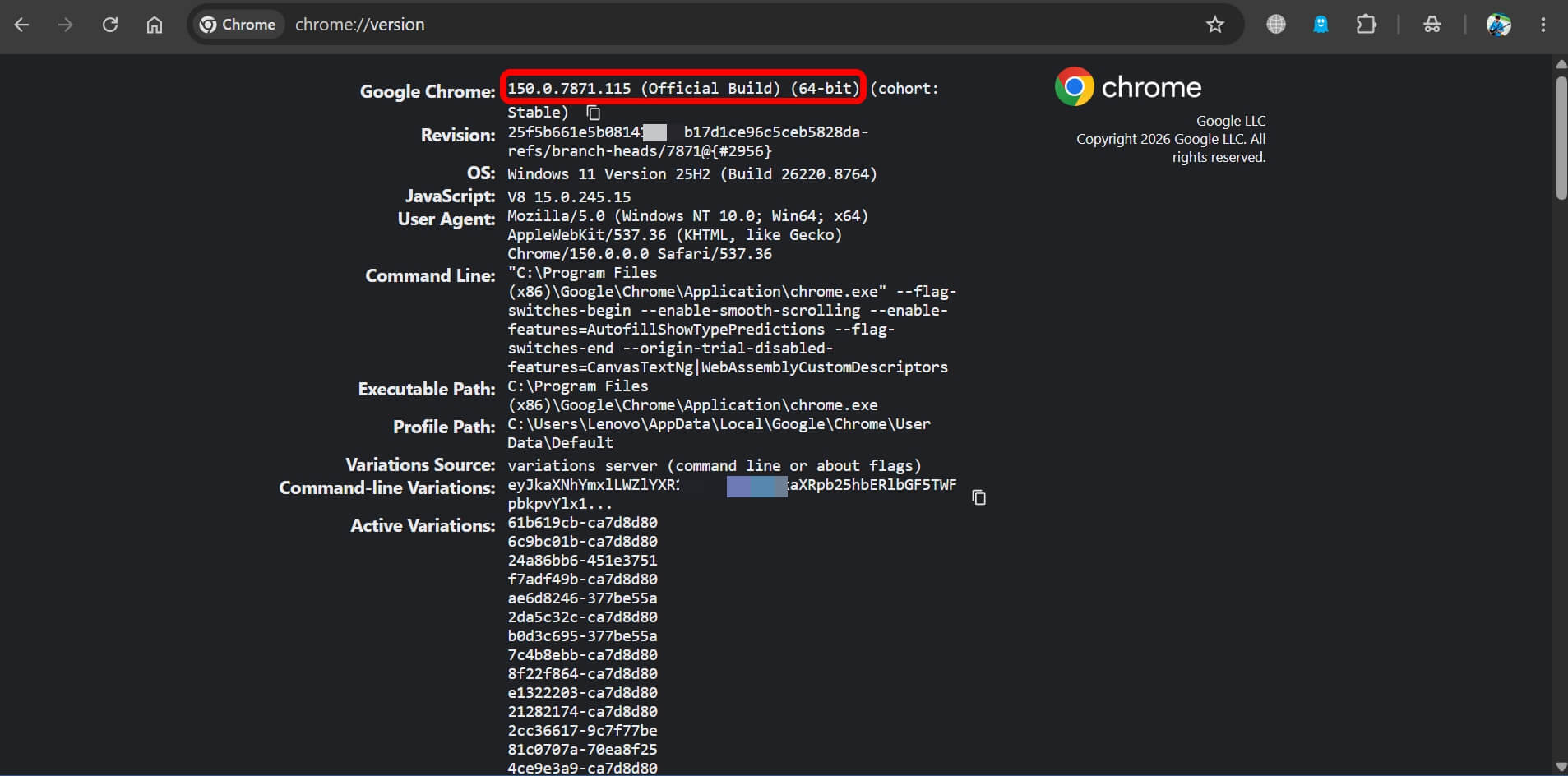I built 10 custom Chrome Skills and only stopped using half of them 4 check for Chrome Version