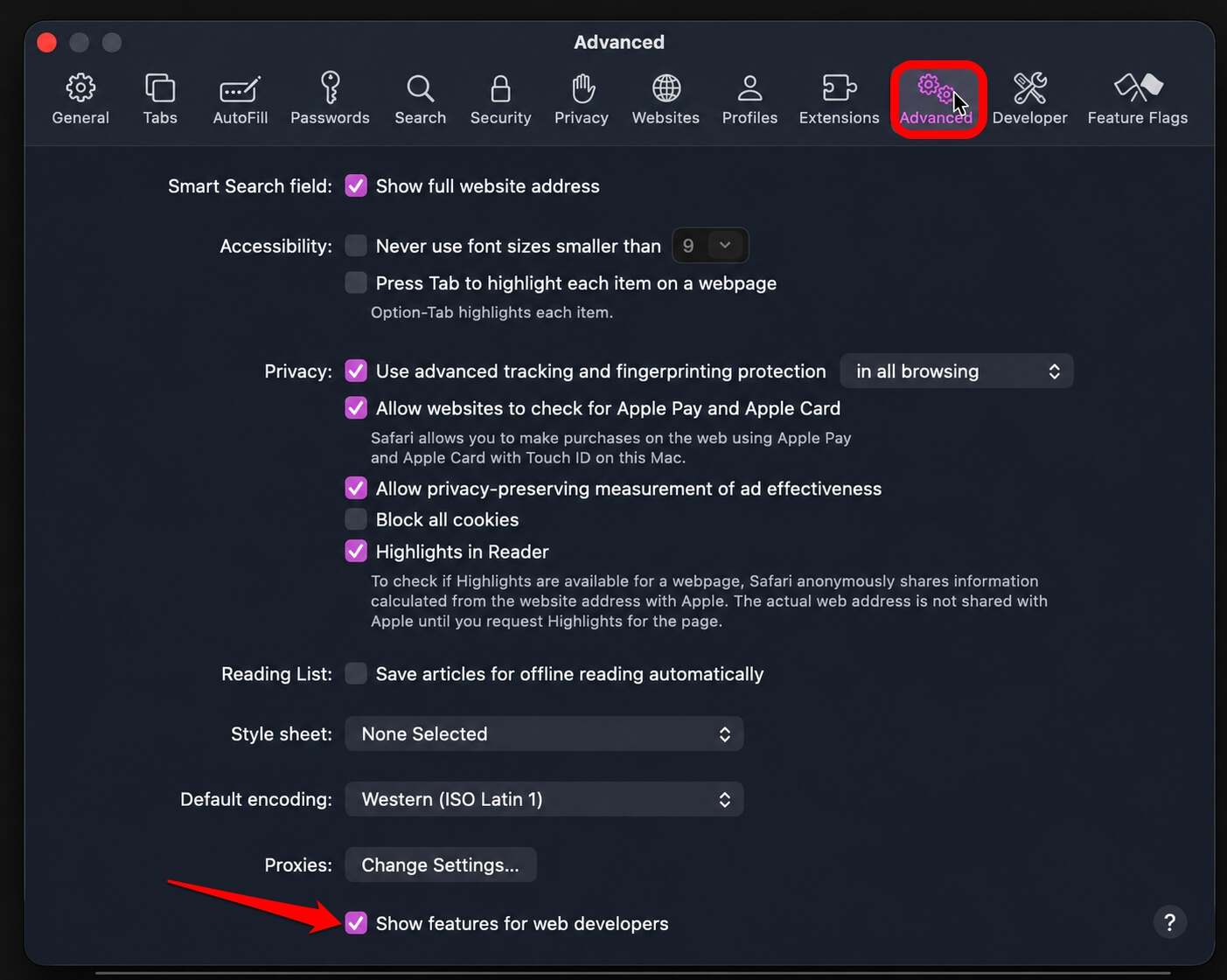 How to let an AI agent drive Safari, and why I waited a day before trying it 3 enable show features for web developers on macOS