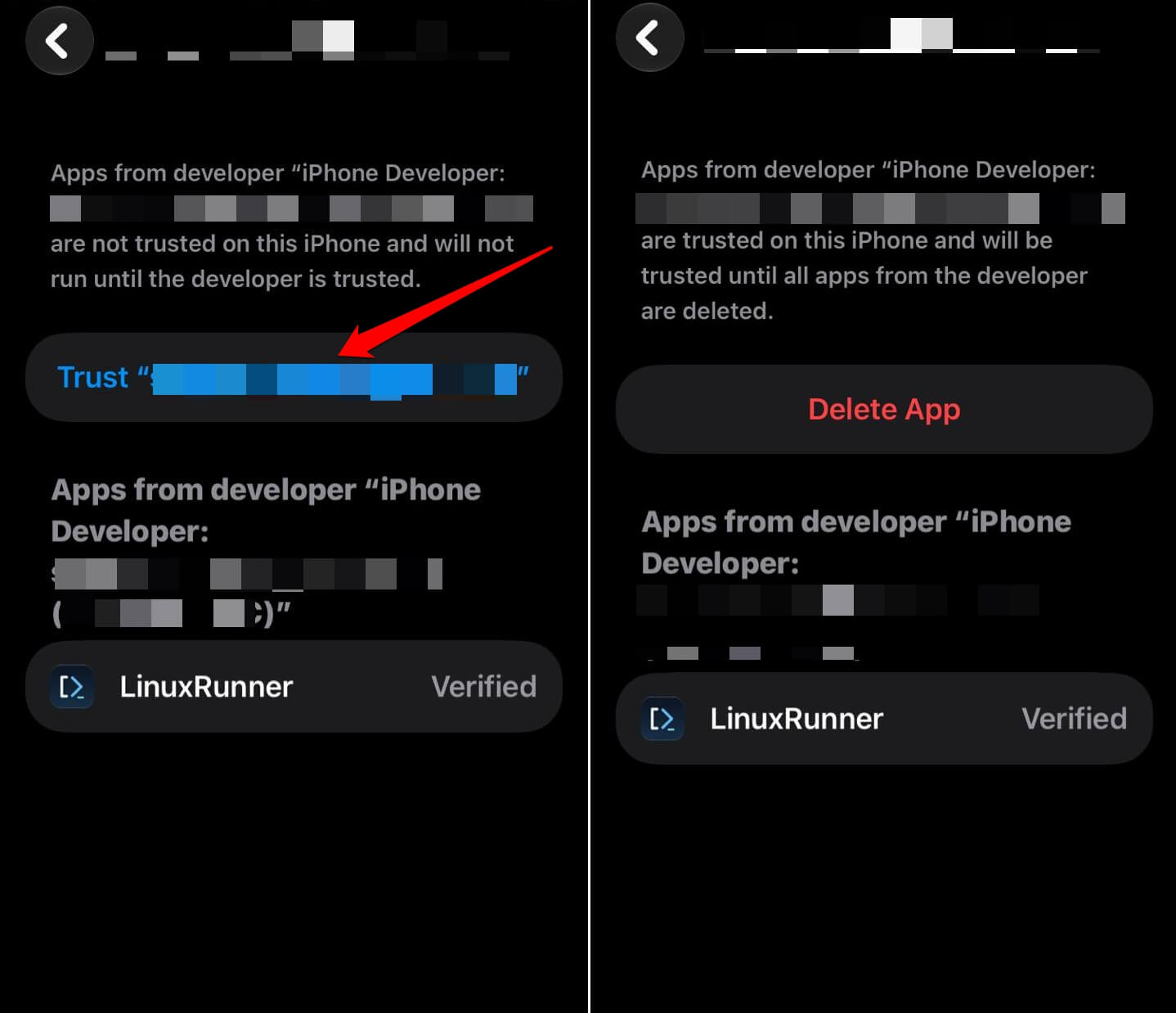 Trust sideloaded app on iPhone settings