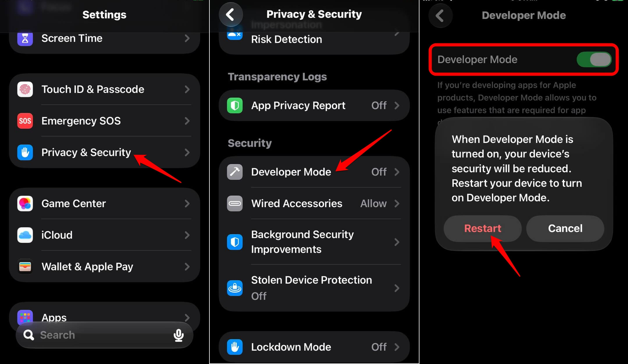 how to enable developer mode on iPhone