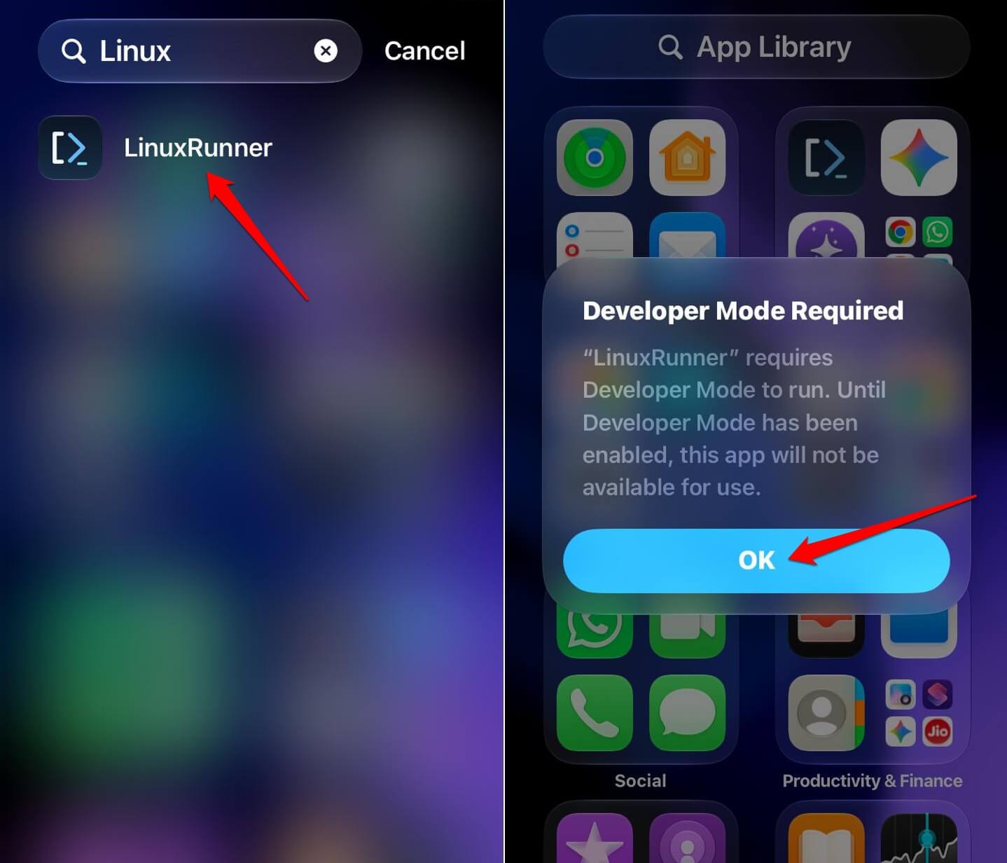 launch LinuxRunner on iPhone
