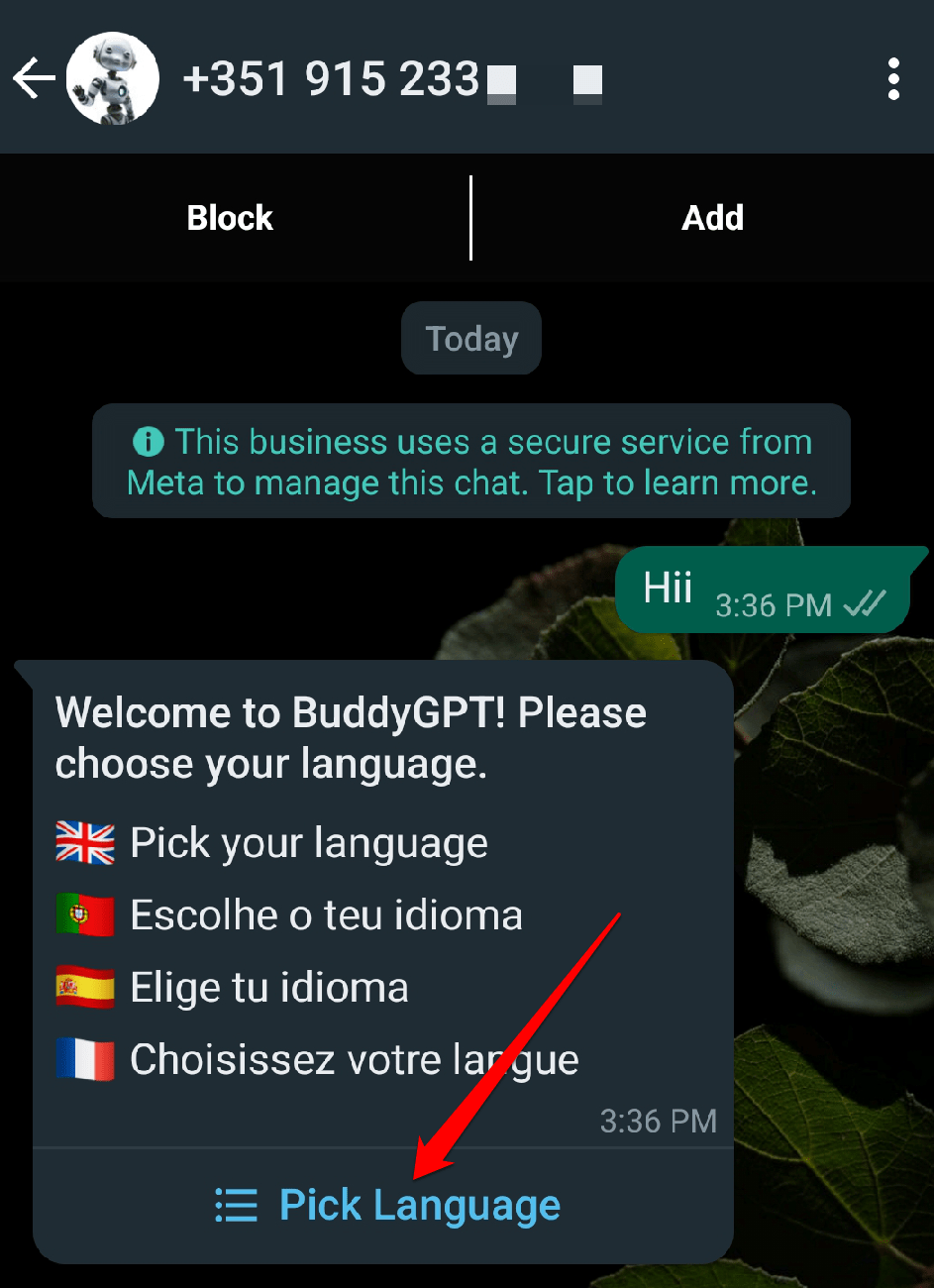 How to Use ChatGPT in WhatsApp? 3 Type hi and pick your language.
