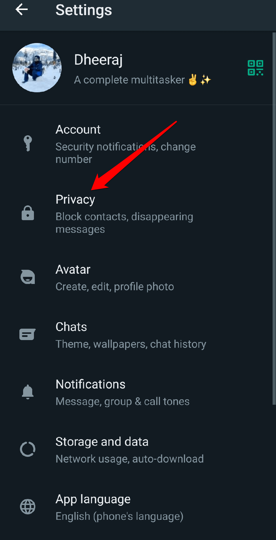 Choose "Privacy."