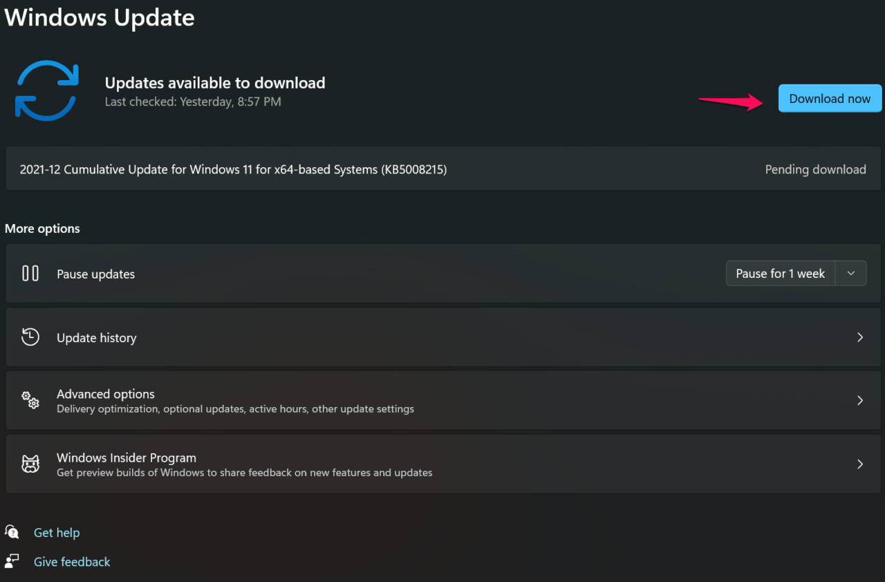 How to Fix PAGE_FAULT_IN_NONPAGED_AREA in Windows 11? 19 4 - Check For Updates