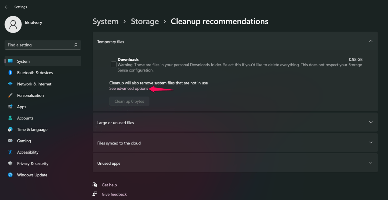 How to Fix Windows 11 Update Error 0x80248014? 8 4 - Click on see advanced options