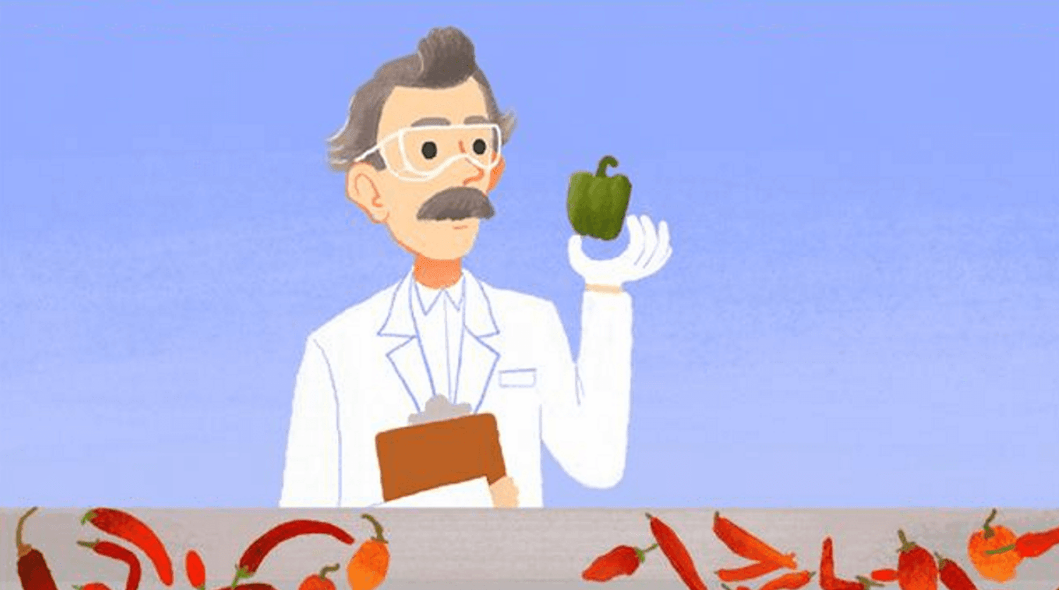 20 Best Google Doodle Games 15 Scoville