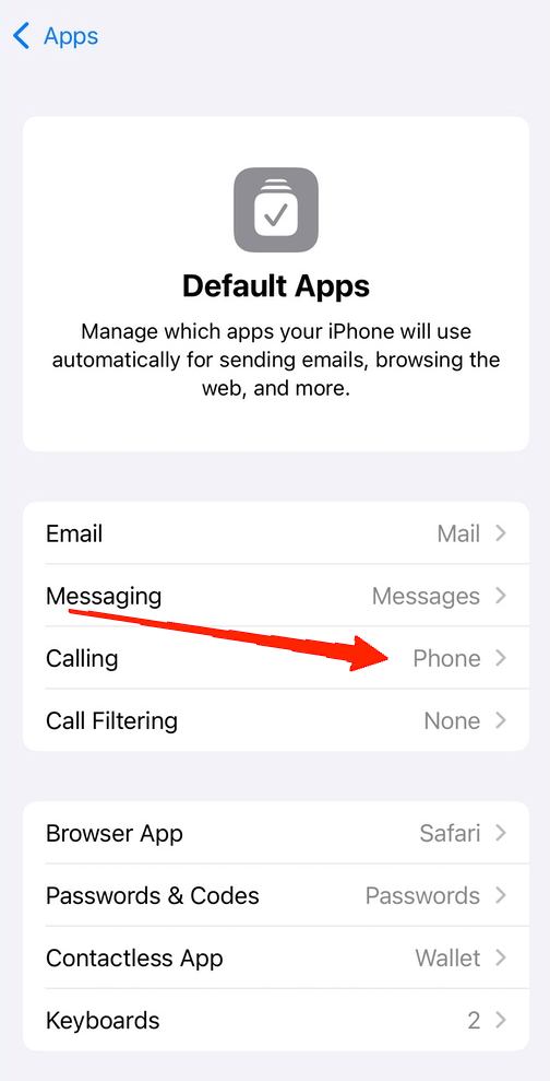 How to Change Default Calling and Messaging Apps on iPhone? 11 Next, tap on the Messaging option.
