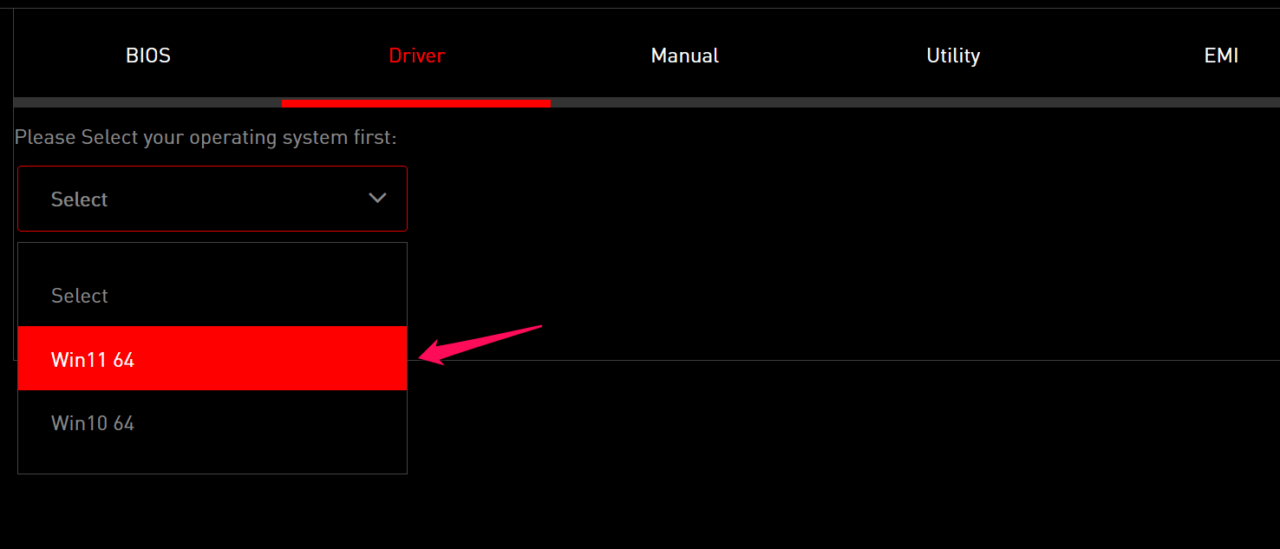 How to Fix PAGE_FAULT_IN_NONPAGED_AREA in Windows 11? 16 5 - Choose The OS