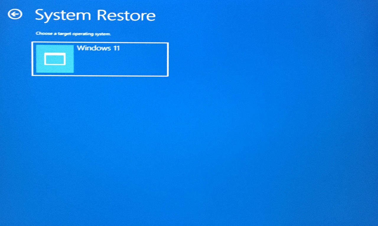 7 - Choose Windows 11 OS