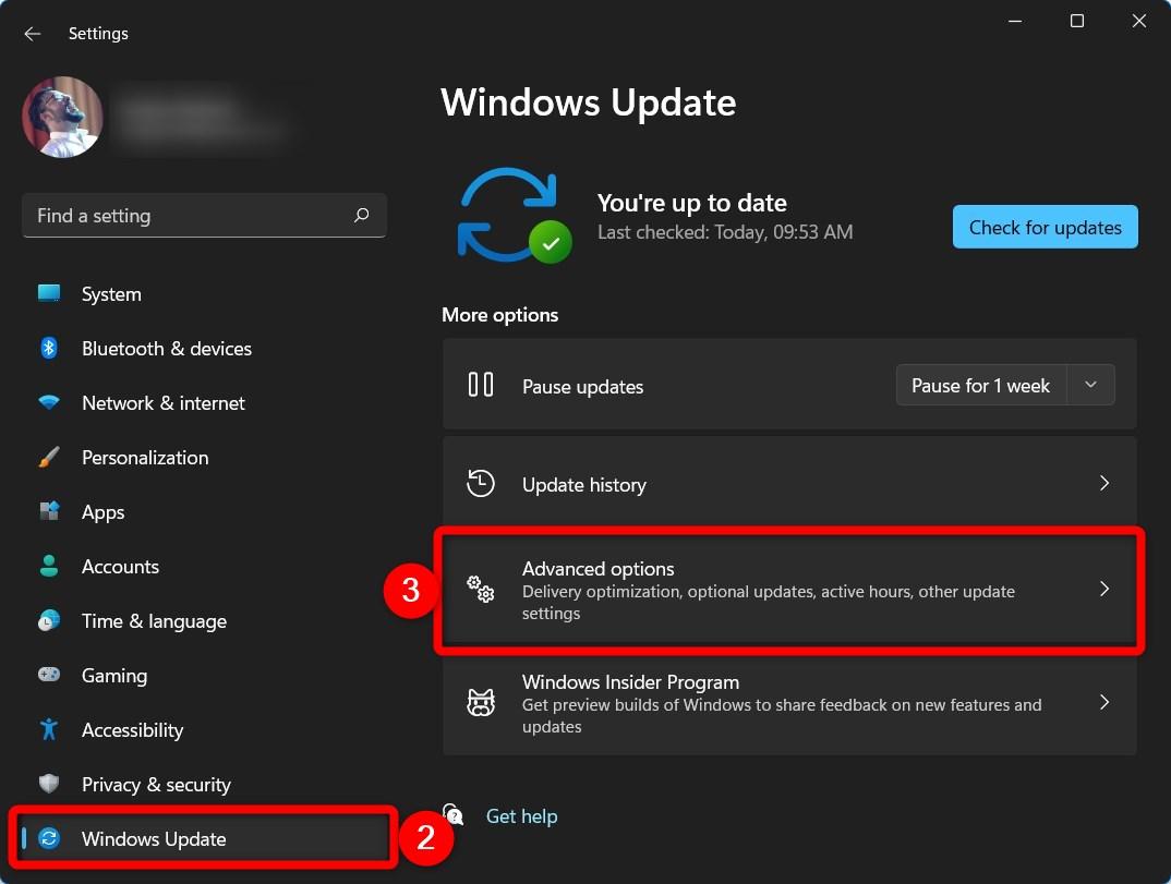 How to Fix GTA 5 Not Opening on windows 11? 5 Advanced Options