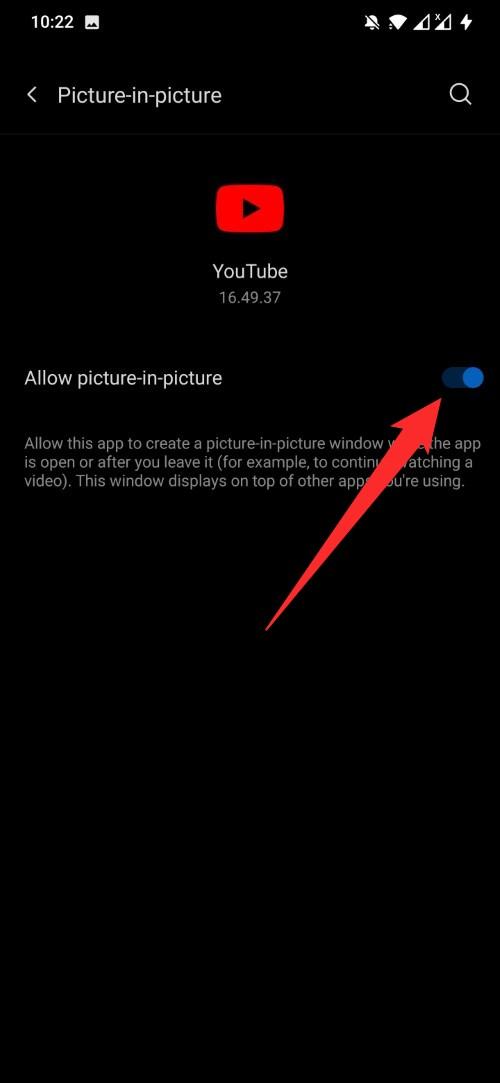 Fix Picture in Picture (PiP) Not Working on Android 5 Allow PiP
