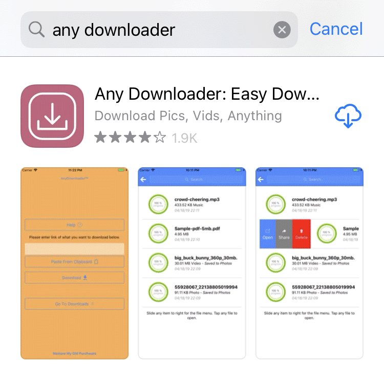 Movie Downloader for iPhone and iPad 2 Any Downloader iOS App