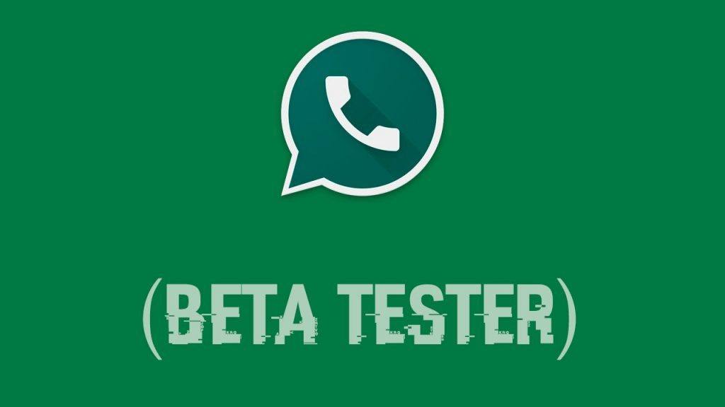 Top 5 Best Apps on F-Driod Store (Not on Google Play Store) 4 Beta Updater WhatsApp