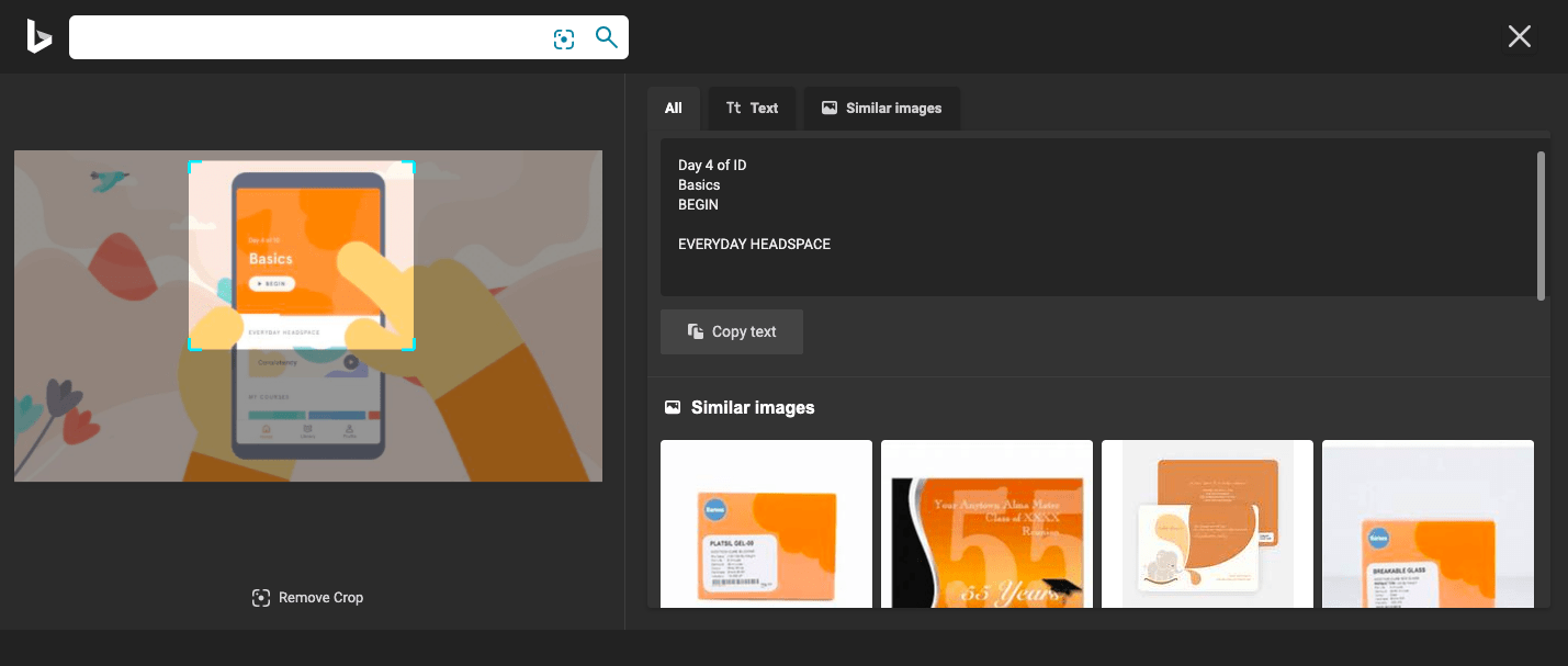 Best Advanced Reverse Image Search Engines 12 Bing Visual Search Image Portion