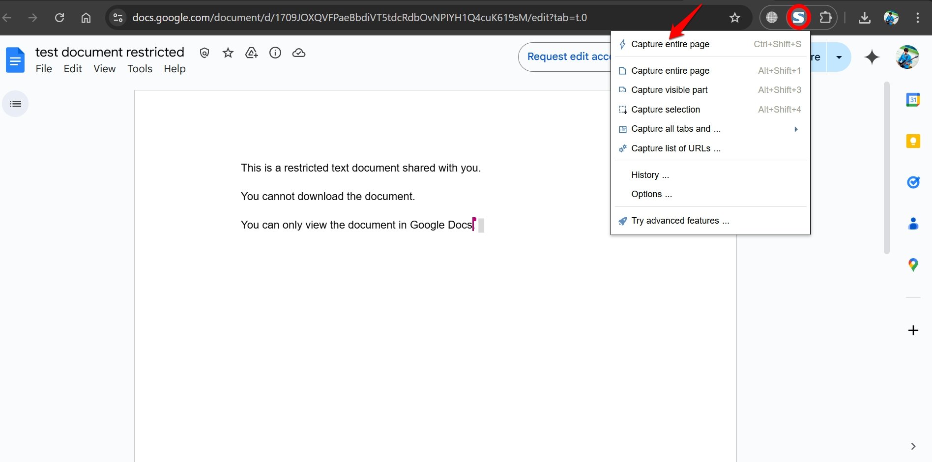 How to Save Google Docs with Export Options Disabled? 9 Capture Entire Page