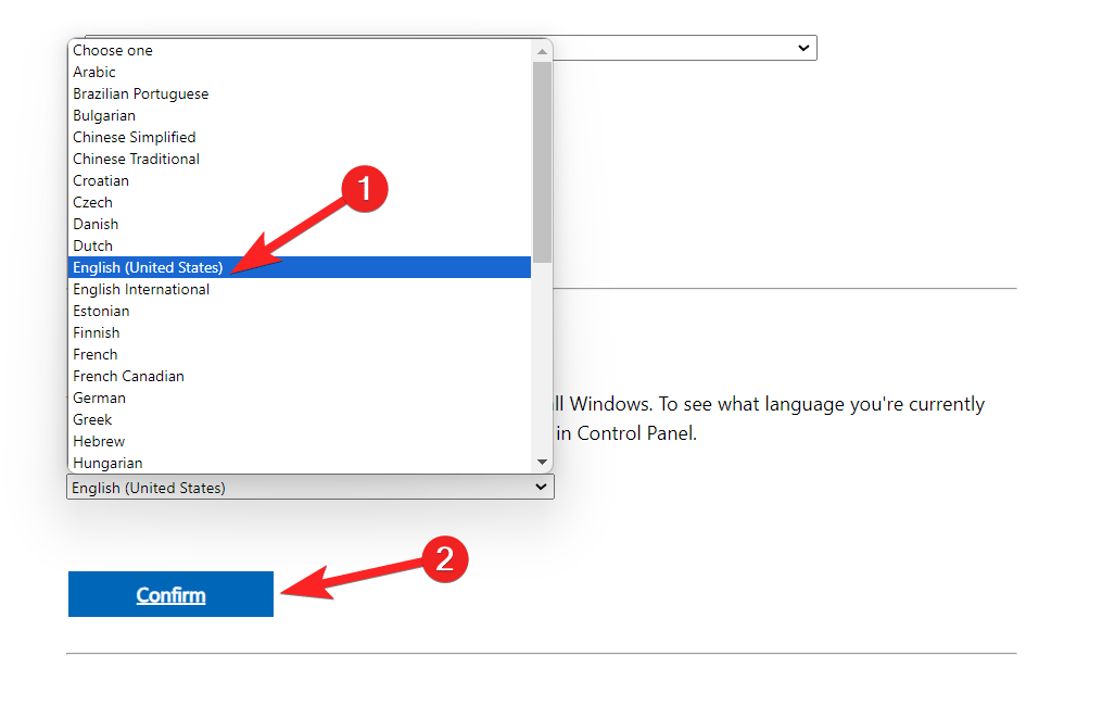 Download Windows 11 23H2 Official ISO File 3 Choose Product Language