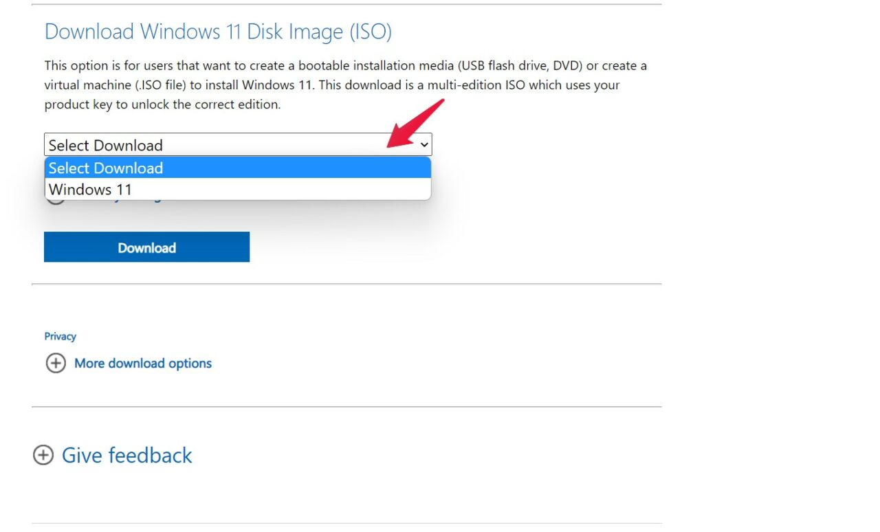 How to Install Windows 11 on an Unsupported PC? 6 Choose Windows 11
