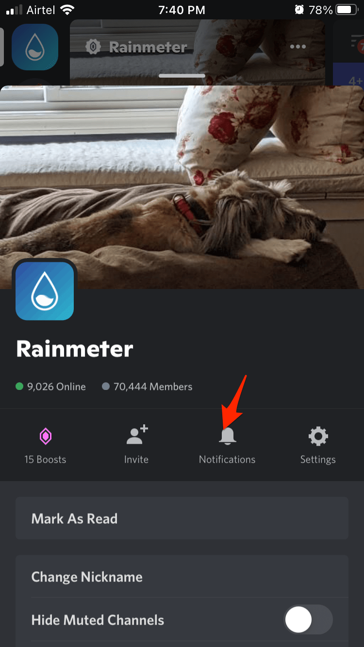 How to Turn OFF Discord Notifications for Android and iOS? 6 Choose “Notifications” to continue
