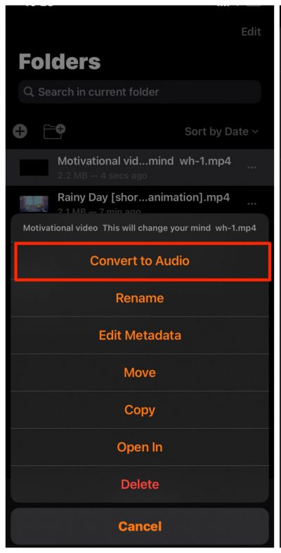 YouTube Video Downloader for iPhone | Save to Camera Roll 7 Convert Video to Audio