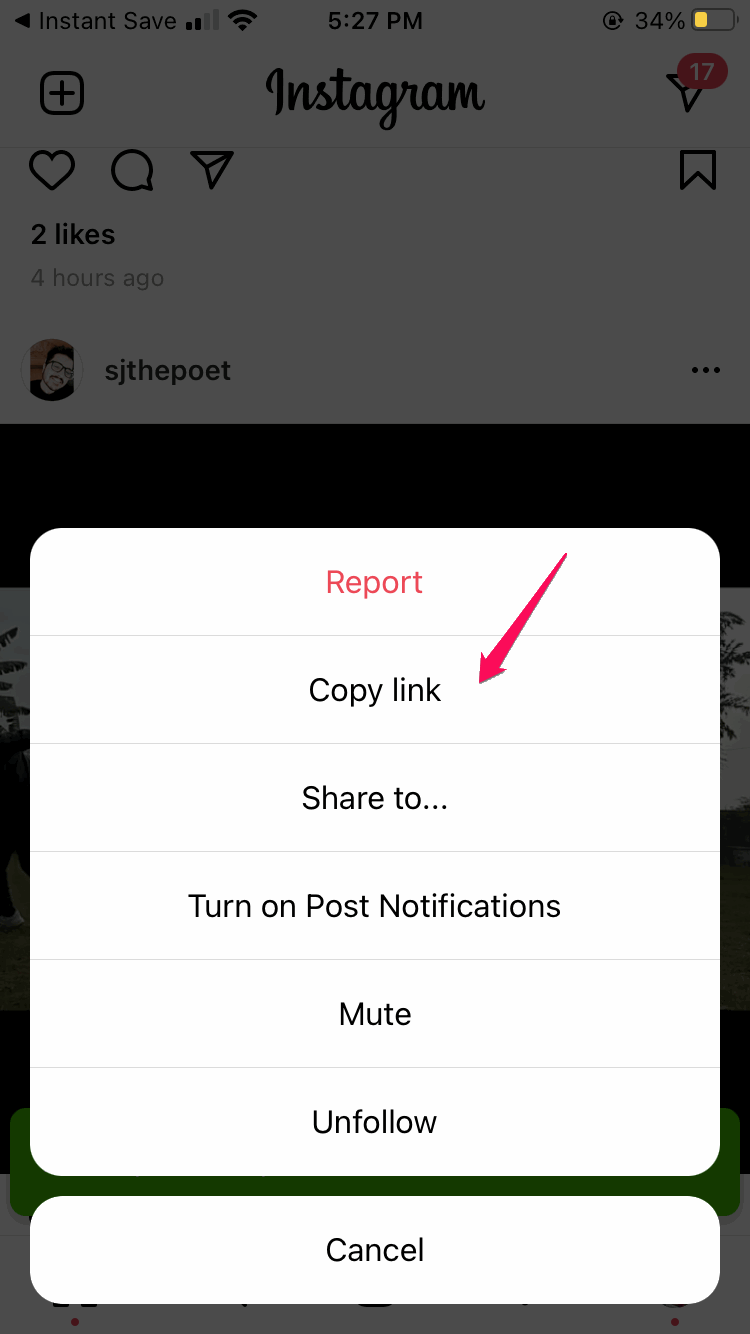 Instagram Video Downloader for iPhone 8 Copy Video Link on Instagram