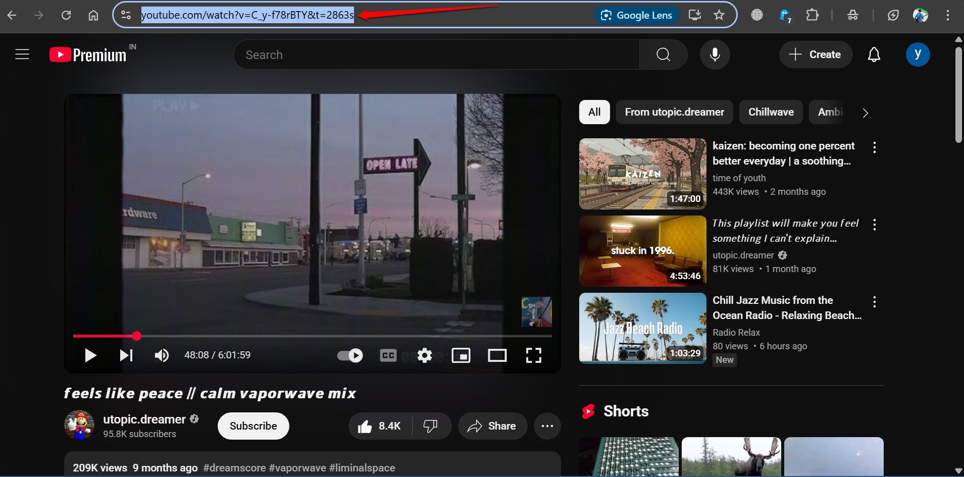 Download Videos from Any Website: Grab Embedded Videos 14 Copy YouTube URL