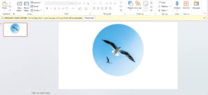 How to Crop a Picture Into a Circle in Microsoft PowerPoint 7 Crop picture using crop to shape