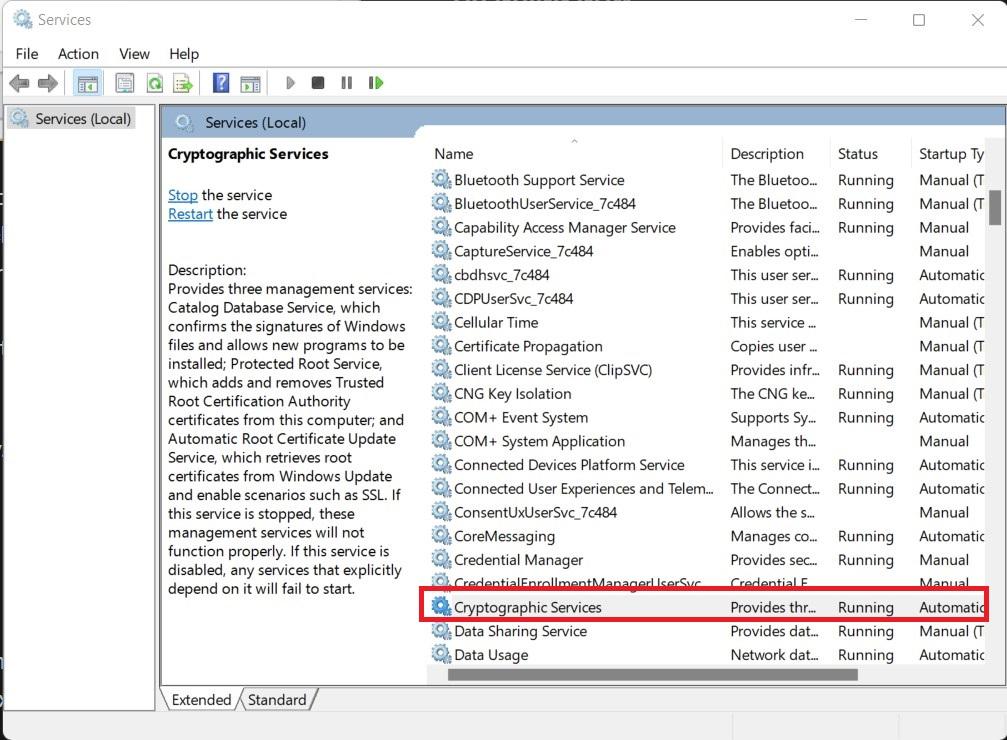 How to Fix Windows 11 Error Code 0x8000FFFF 11 Cryptographic Services