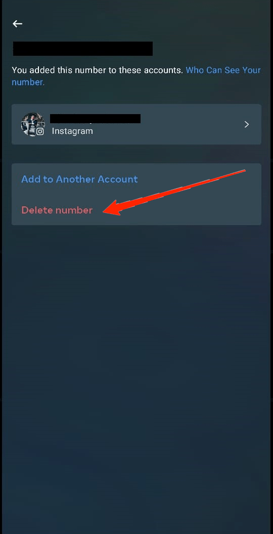How to Hide Instagram Account from Search? 10 click on 'Delete email address