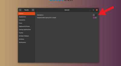 Disable Animations in Ubuntu