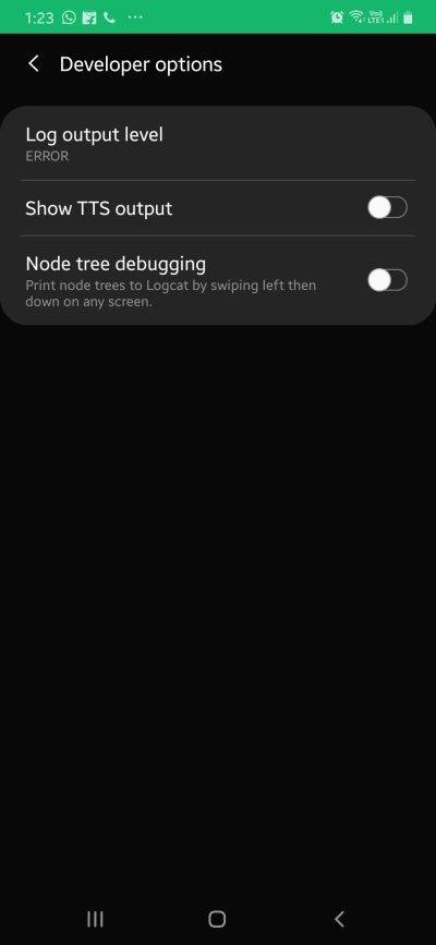 Disabled developer options