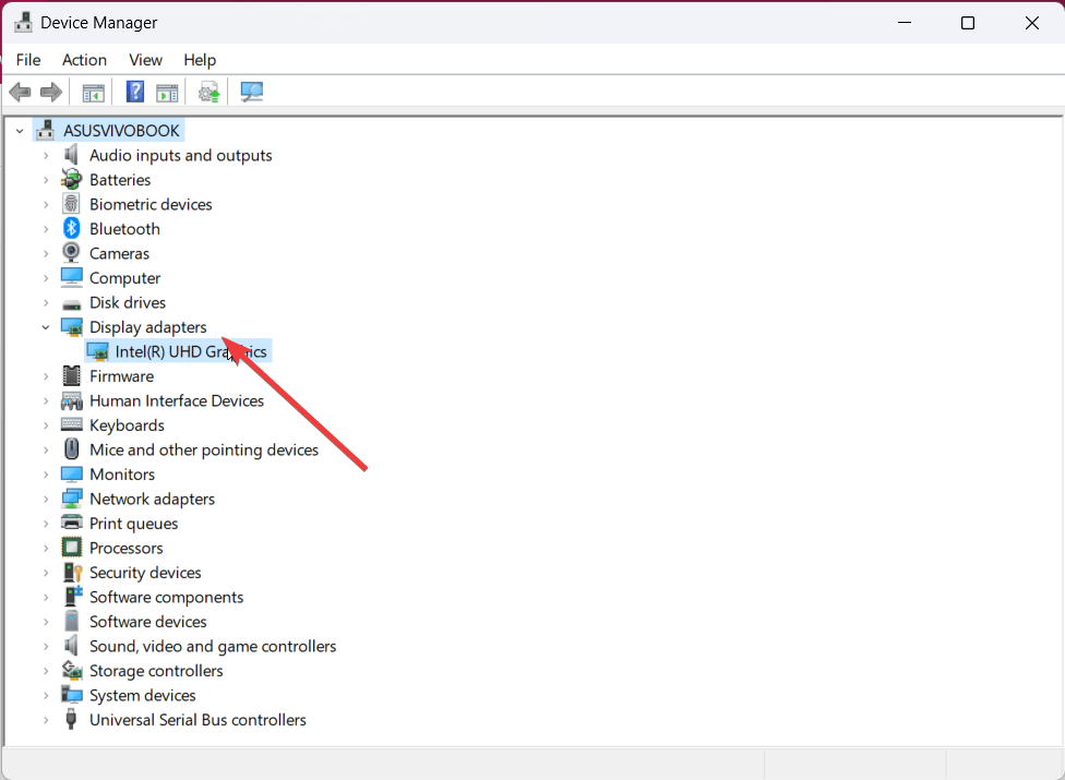 What to do if you See Horizontal Lines on Laptop Screen? 3 Choose Display Driver category