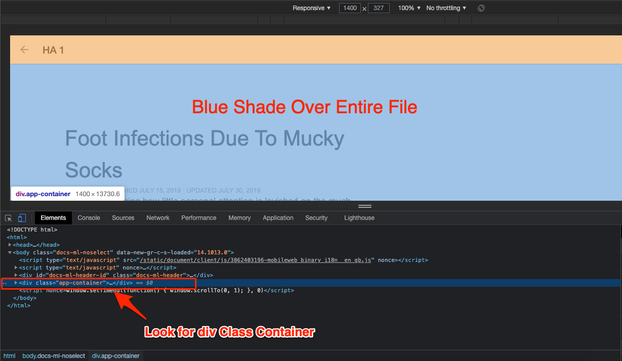 How to Save Google Docs with Export Options Disabled? 16 Div_Container