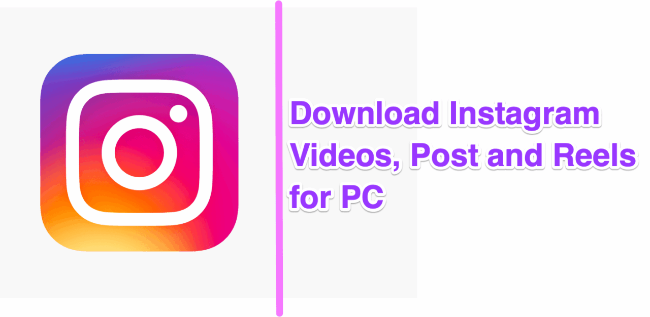 4K Stogram | Download Instagram Stories, Videos and Photos 1 Download Instagram Videos, Post and Reels for Windows and Mac