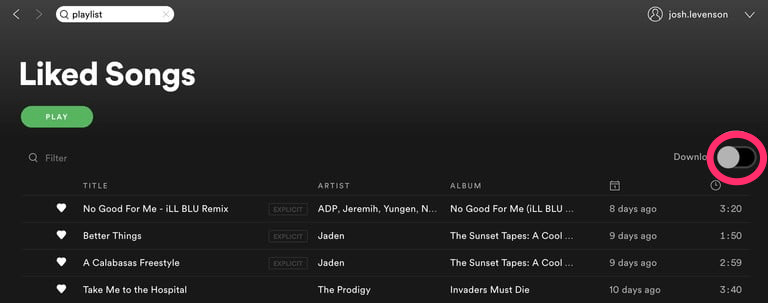 How to Download Songs from Spotify? 2 Download_Toggle