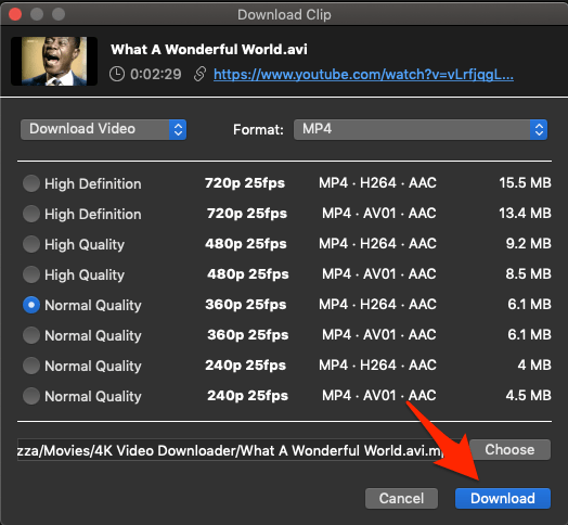 4K Video Downloader to Download YT Playlist for PC 7 Download_Video_FIle