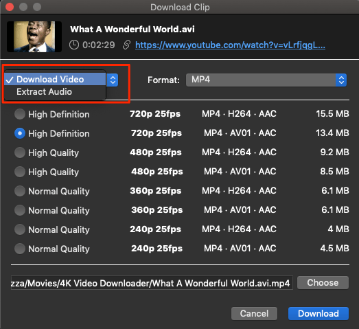 4K Video Downloader to Download YT Playlist for PC 5 Download_Video_or_Extract_Audio