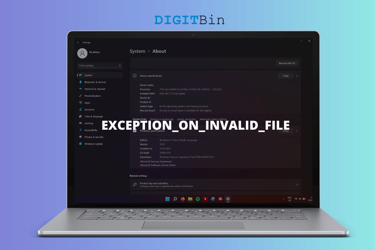 EXCEPTION ON INVALID FILE Error in Windows 11