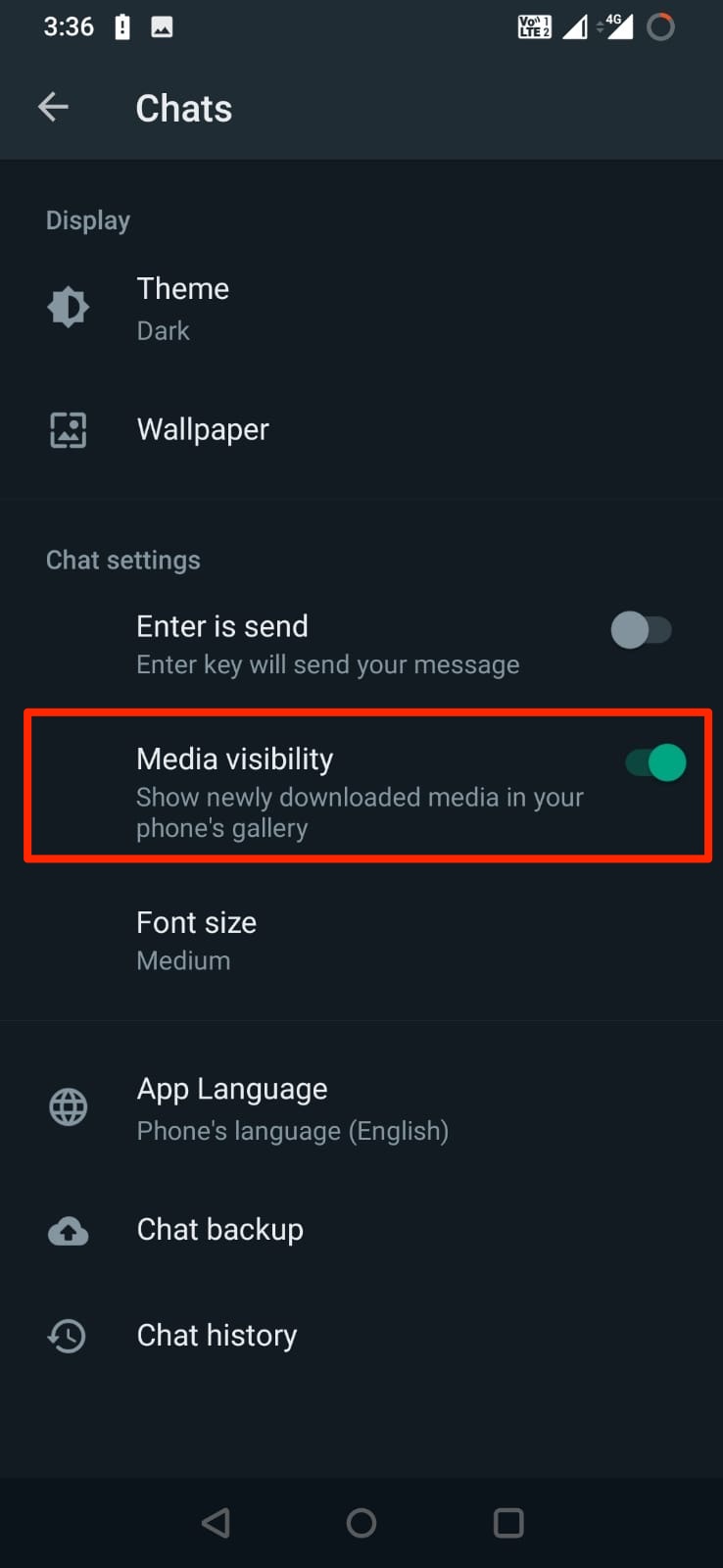 Enable Media Visibility