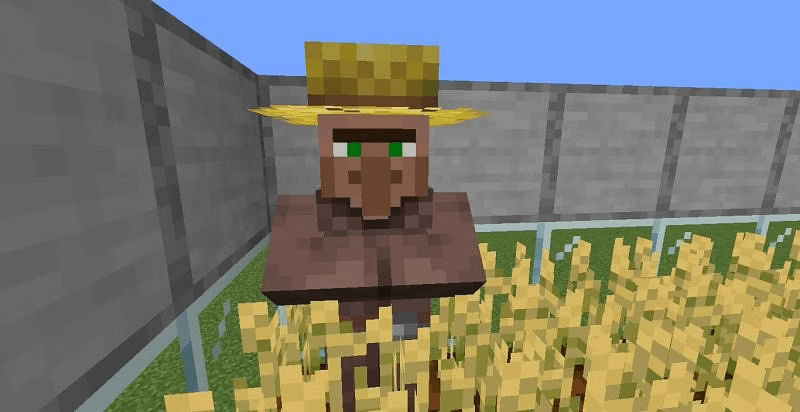 Minecraft Villager Jobs: A Guide 5 Farmer