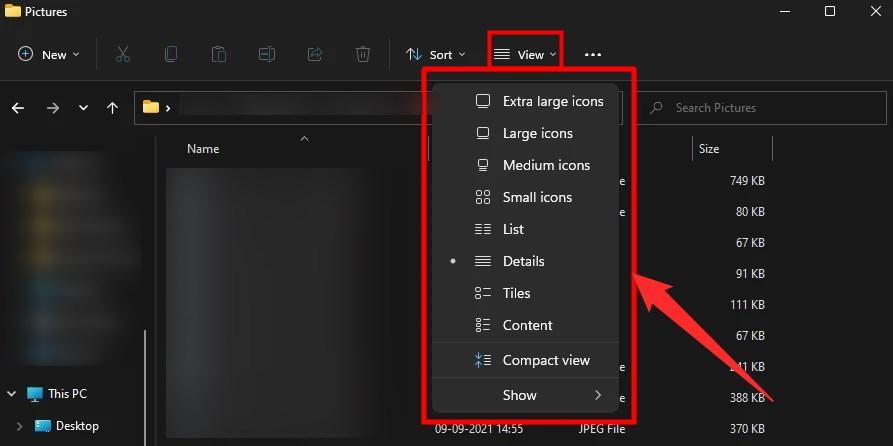 File View