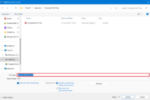 Enter the pdf file name