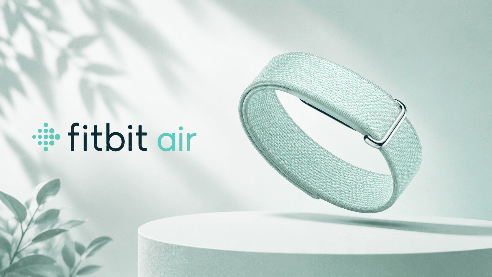 Google Fitbit Air launch price features