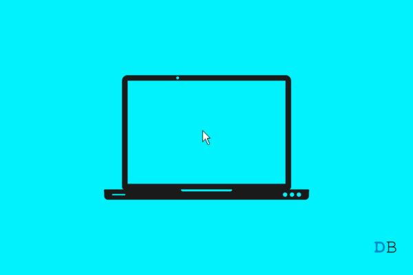 Fix Mouse Cursor Disappears in Windows 11