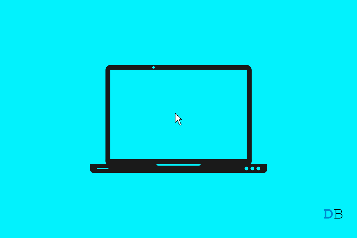 Fix Mouse Cursor Disappears in Windows 11