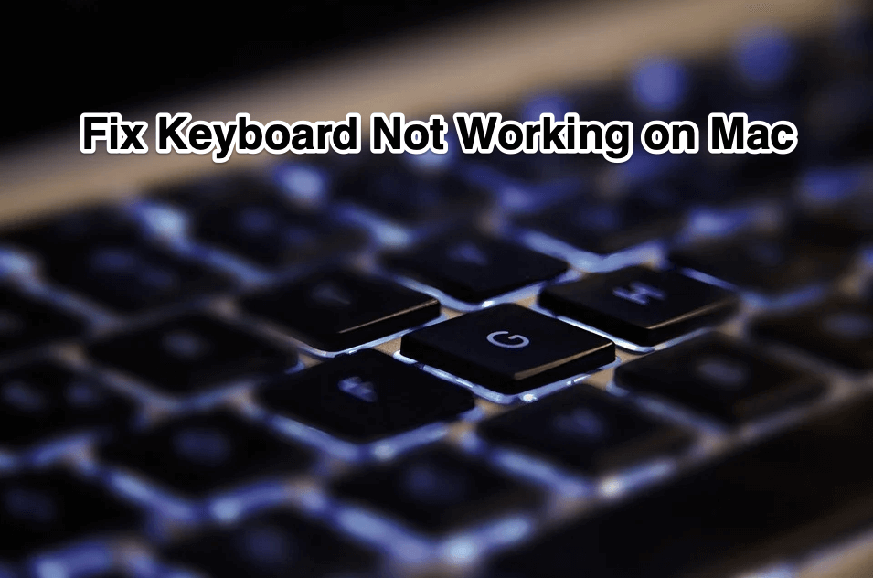 How to Fix Macbook Keypad Not Responding or Typing? 1 Fix Keyboard Not Working on Mac