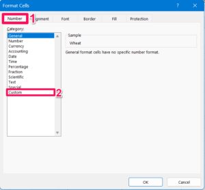 How to Insert Bullet Points in Microsoft Excel 10 Select Custom from Number tab