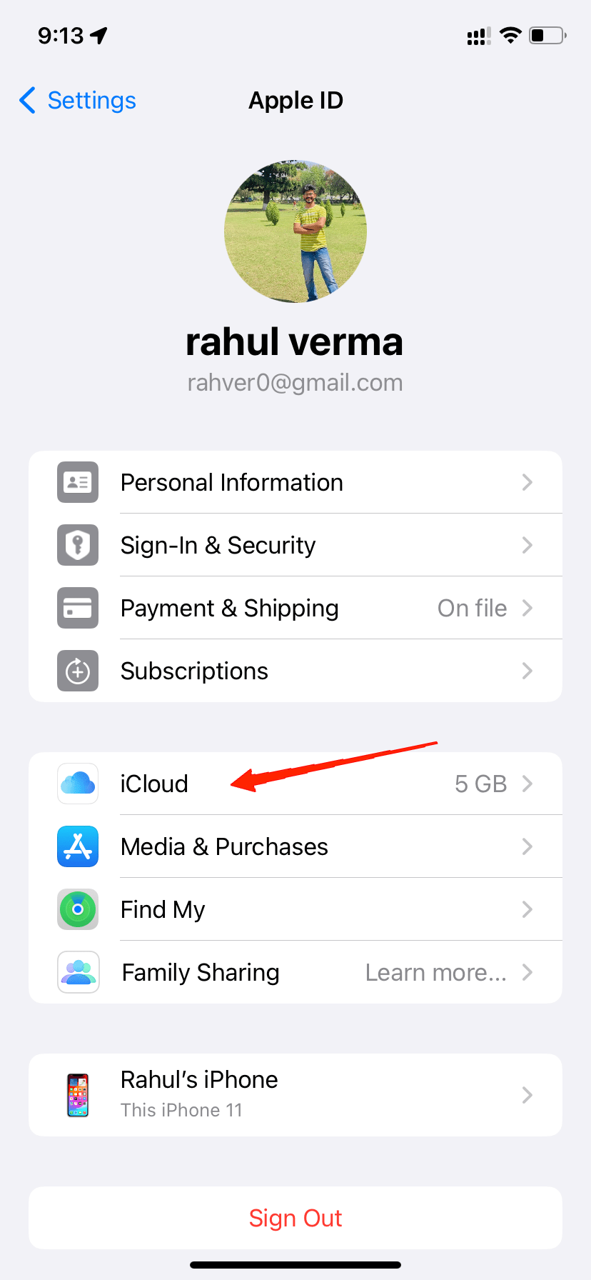 Why Can't I See Pictures on iMessage? Easy Fixes! 4 Go to iCloud.