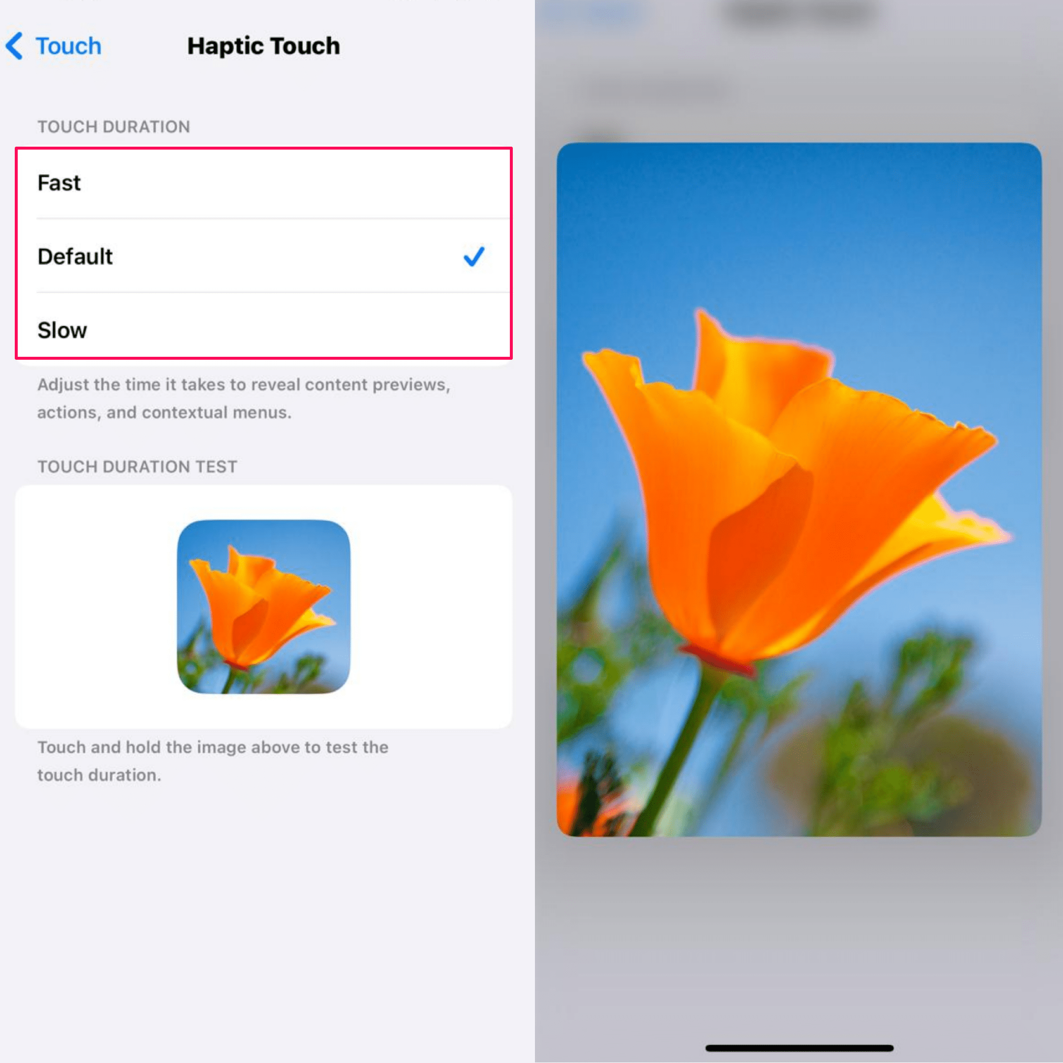 How to Adjust Touch Sensitivity on iPhone or iPad 3 Choose the Haptic Touch to Fast or make it default